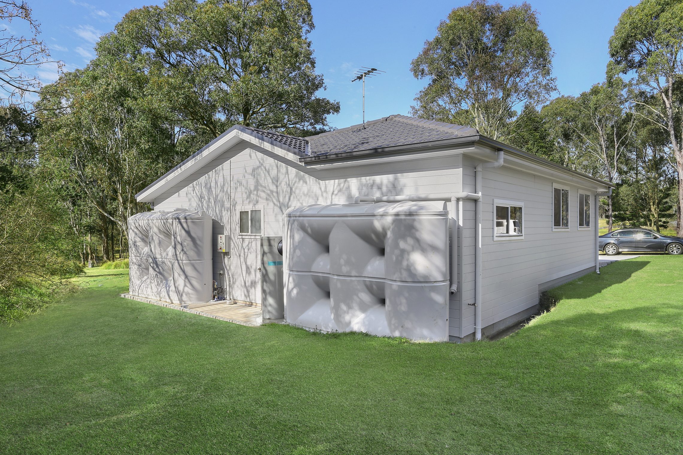 Nelson – H6