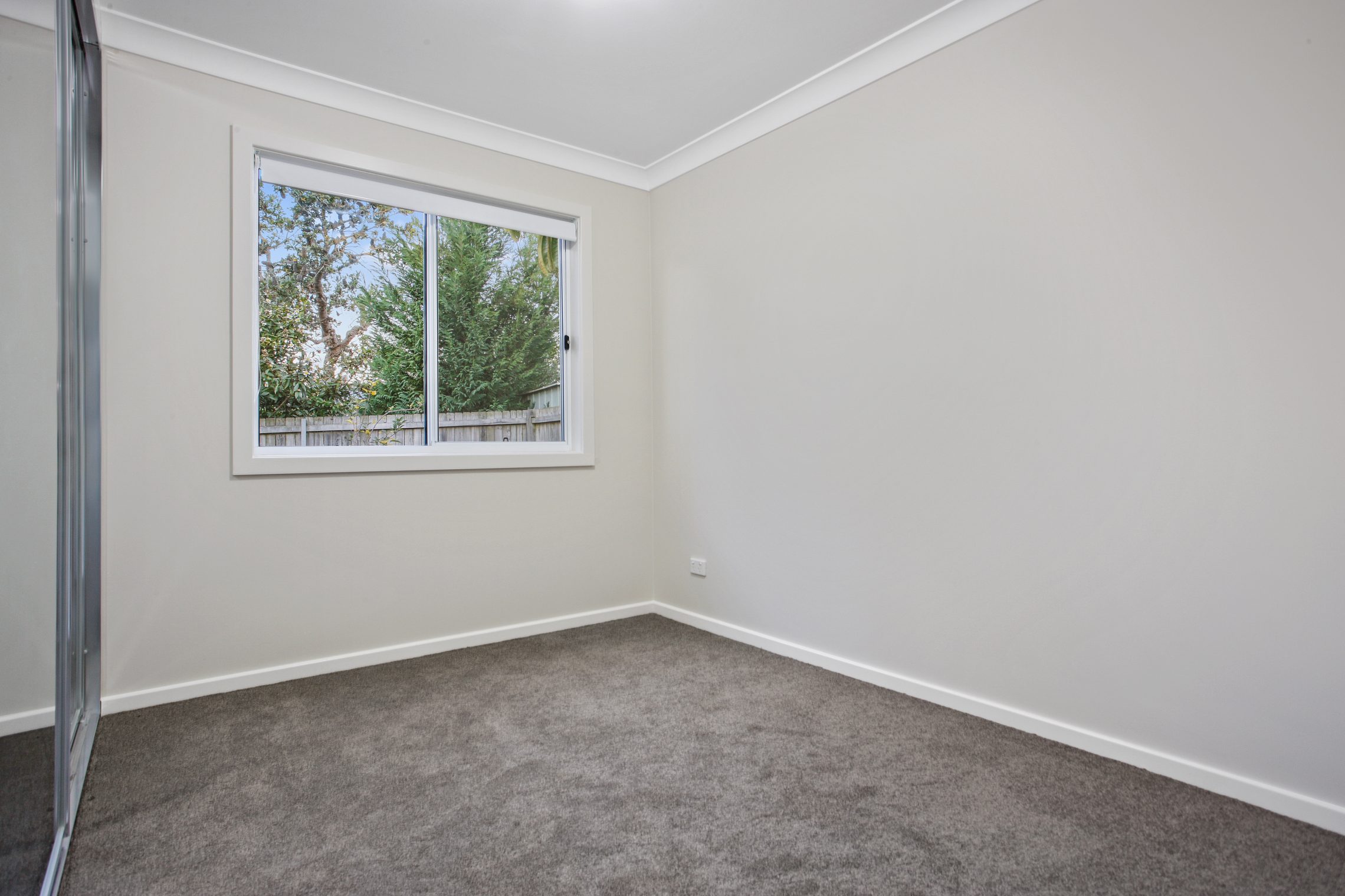 Forestville – W5