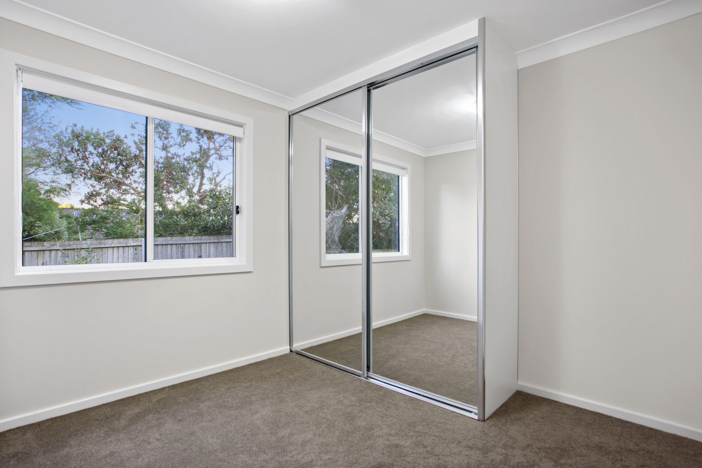 Forestville – W5