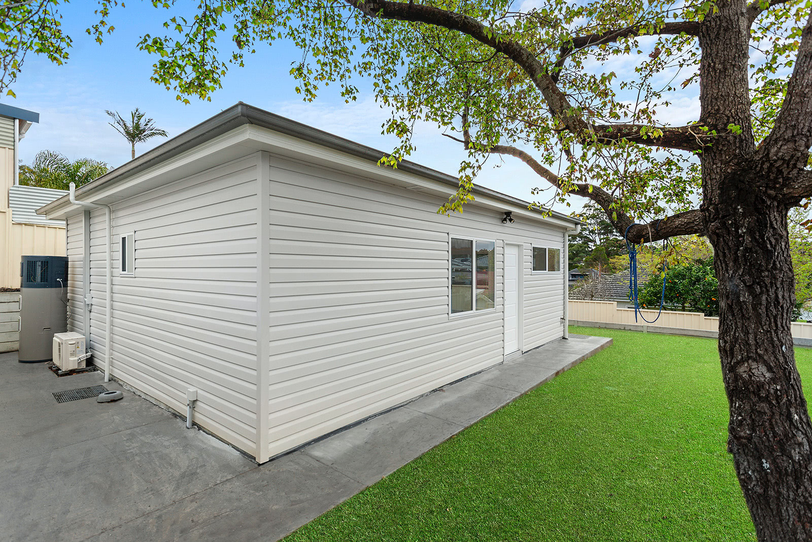 Figtree – B16