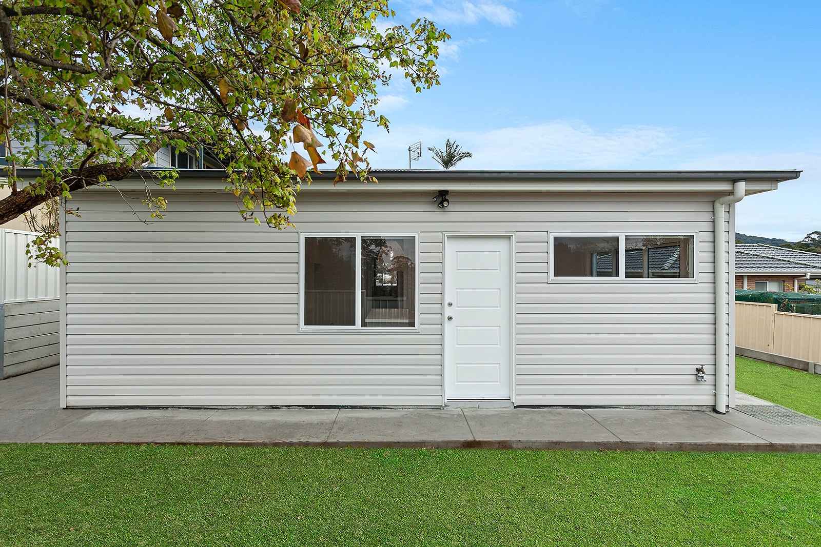 Figtree – B16