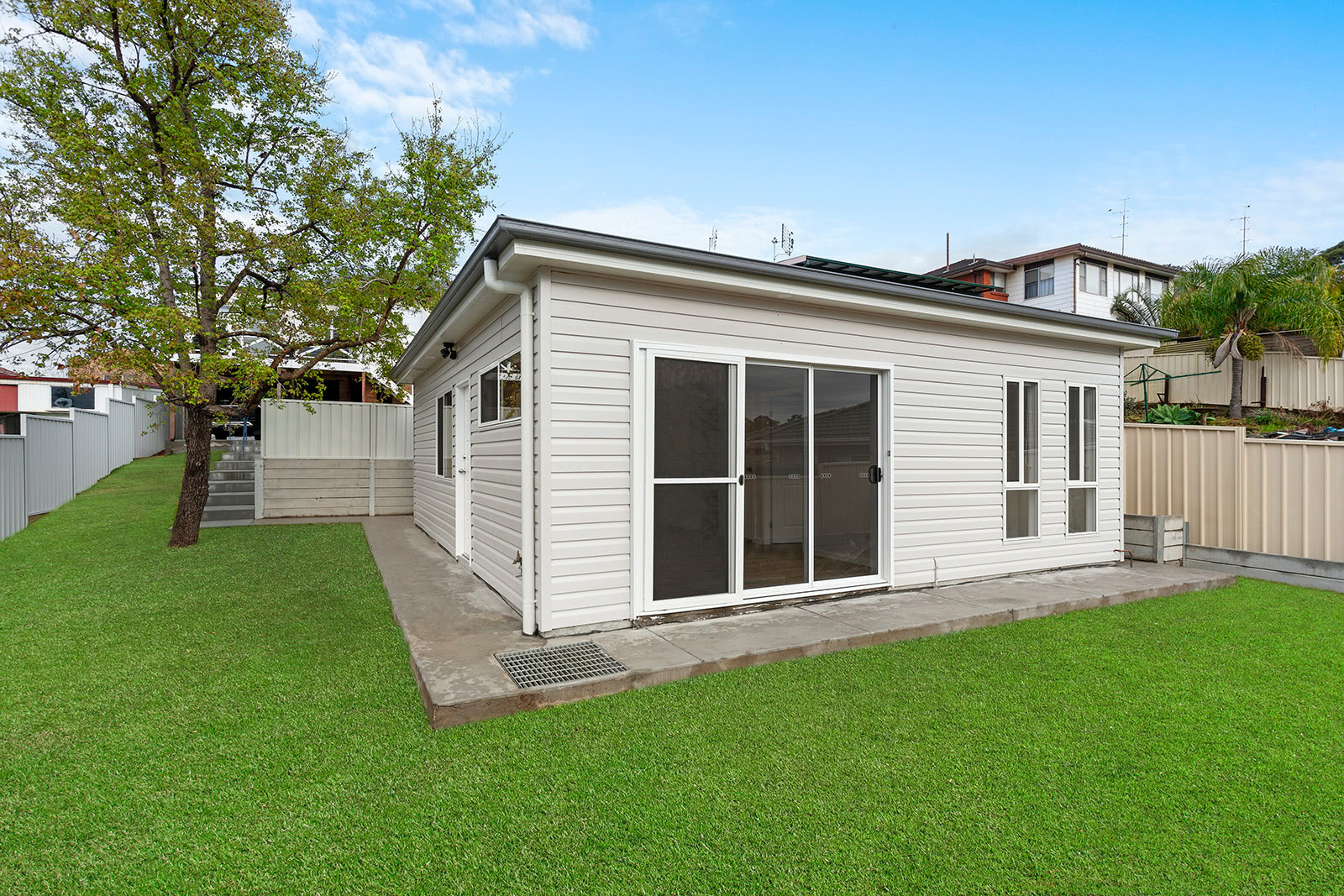 Figtree – B16
