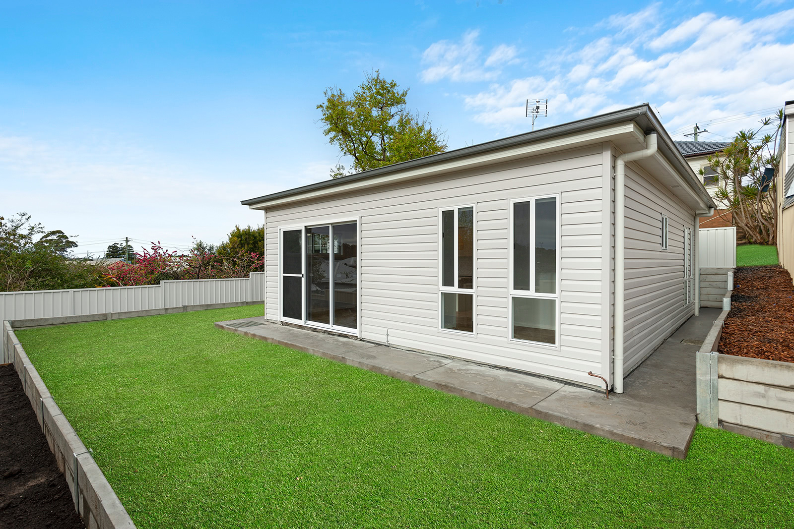 Figtree – B16