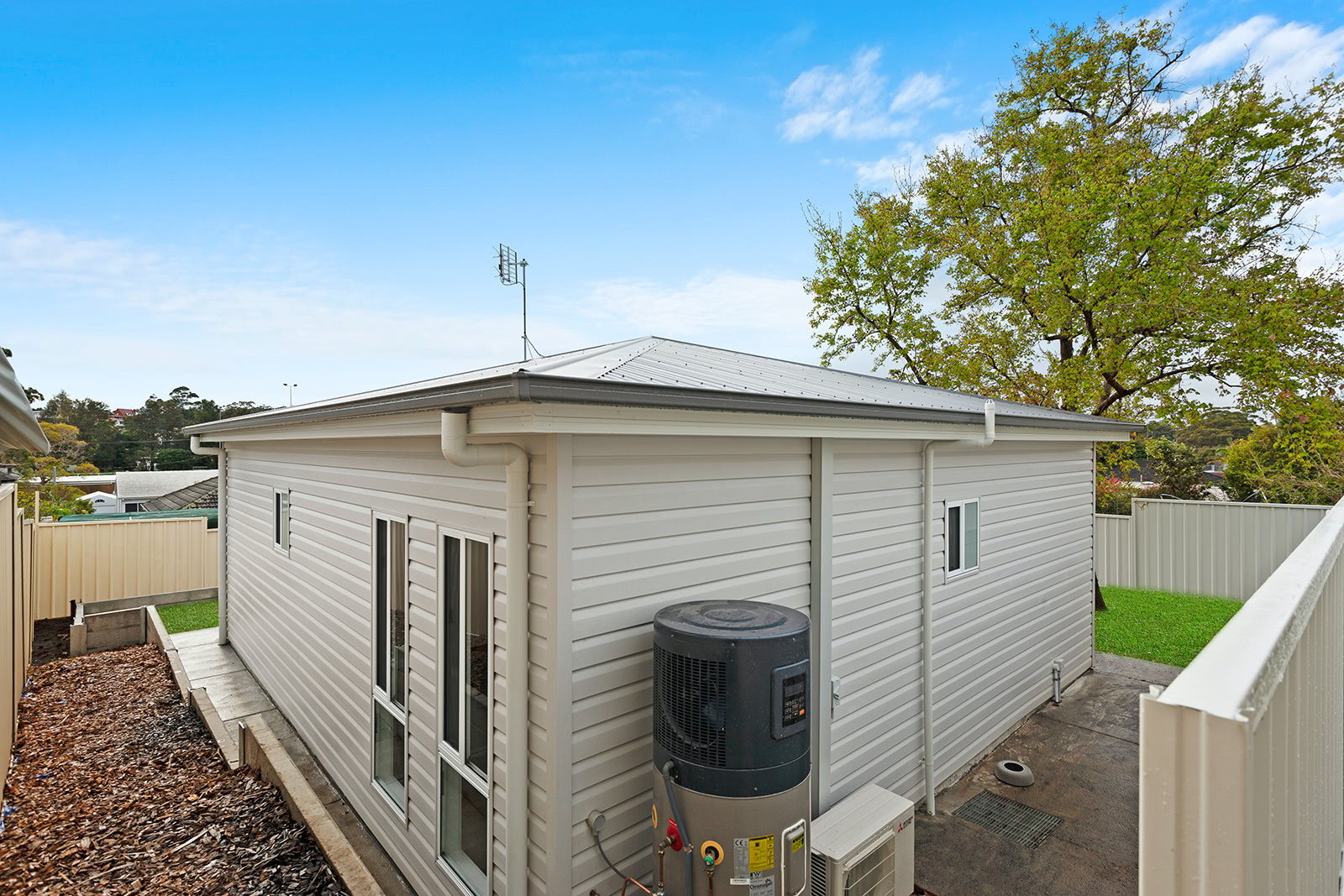 Figtree – B16